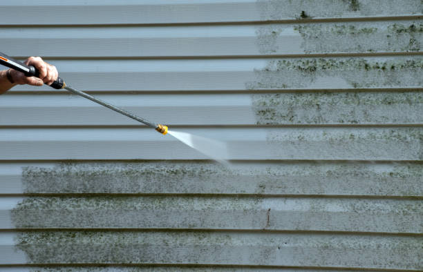 Best Driveway Pressure Washing  in The Colony, TX