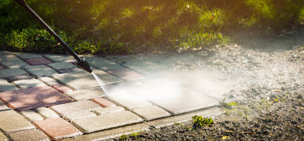 Best House Exterior Washing  in The Colony, TX